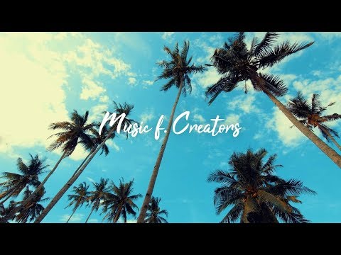 Palm Trees — MBB
