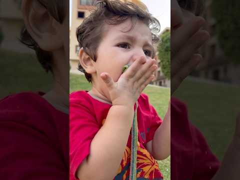 جبر الخواطر واللص الصغير