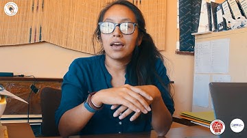 Young People, Education and Crime, Gender based violence & Substance Abuse.