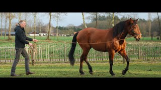 Gratis Online Cursus Lange lijnen Afl.  1