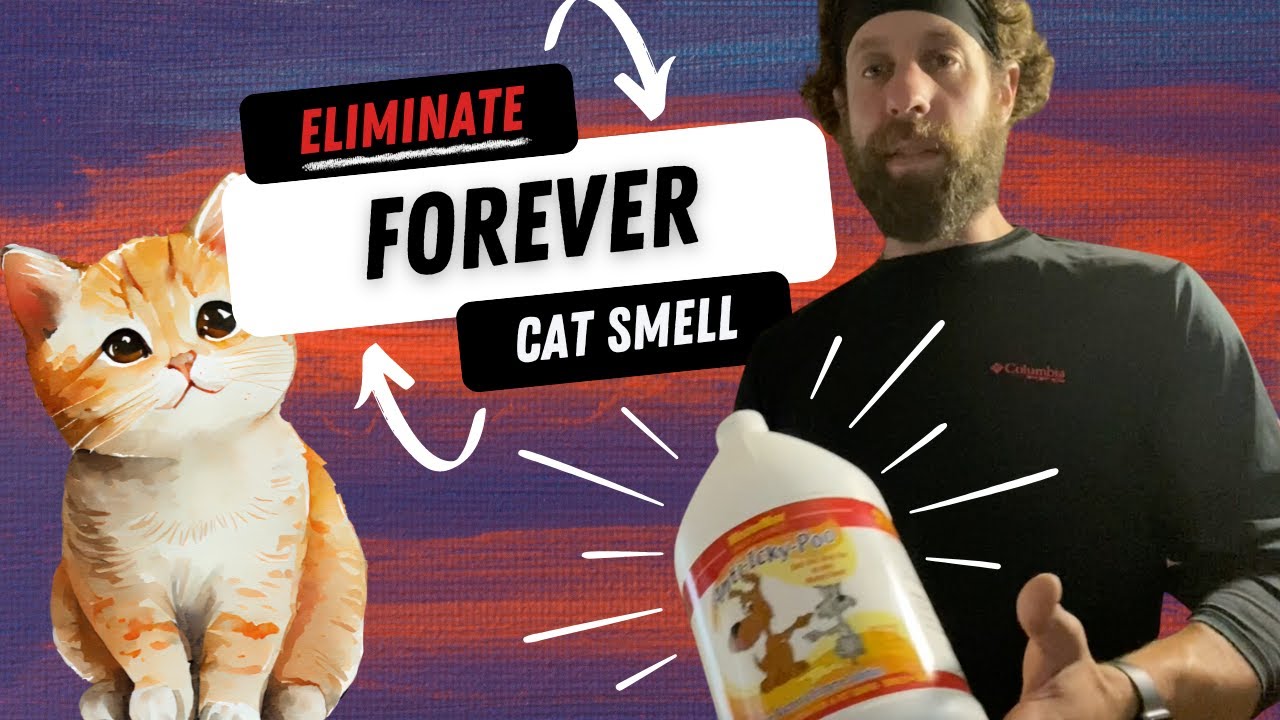 Stubborn Cat Pee Smell? Clean, Neutralize & Eliminate FOREVER! YouTube
