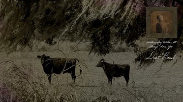 Ethel Cain - Dust Bowl (Official Visualizer)