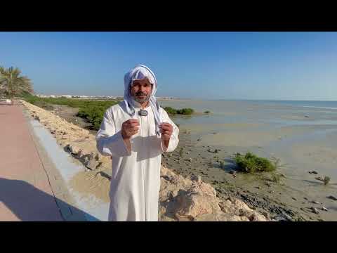 النهام والنهمة البحرية في الخليج العربي