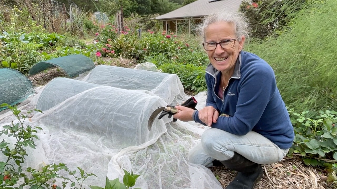 Утренняя рутина, груши, яблоки и сад | Дневник, эпизод 11