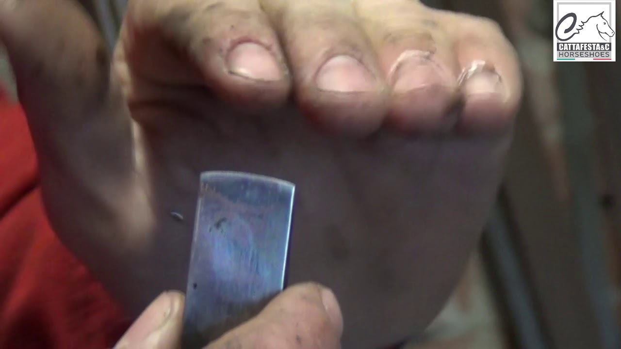 Come mantenere gli attrezzi del maniscalco