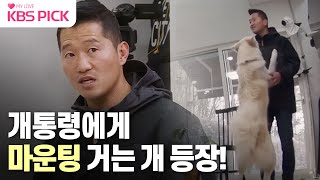 [#개는훌륭하다] 개통령에게 마운트를 거는 강아지의 등장? 맬러뮤트 믹스 '라떼' ㅣKBS 220109 방송