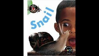 Snails - non-fiction text