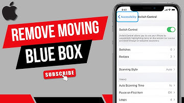 How To Remove Moving Blue Box On iPhone Screen