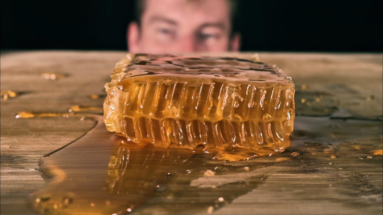 Honey Comb eating with Tascam | ASMR