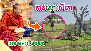 កាត់ស្មៅលើកោះស័ក្កិសិទ្ធិ