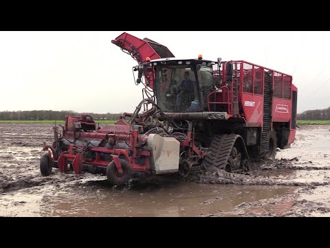 Pure Häcksellust - Maisernte mit Claas Jaguar 980 und 970 - LU Spitzner - LU Zimmermann -JCB Fastrac