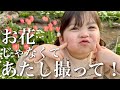 【年子育児】写真大好きな娘と楽しくお花見♪…はずがハプニング!あれ?桜、咲いてない!?|Family cherry blossom viewing.