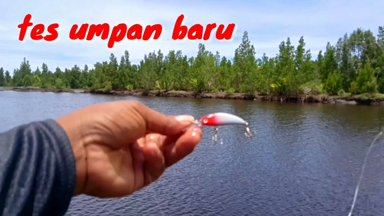 Casting di Muara Laut Penuh Pohon Bakau