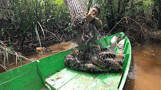 IKAN DI RAWA INI MEMBELUDAK...!! SAMPAN SAMPAI MIRING TERSENDAT !!!