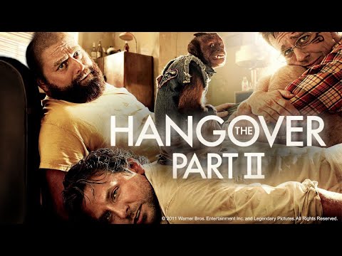 اقوى فلم لعام 2023حفلة توديع عزوبية بتتحول لكارثة ملخص فيلم   2