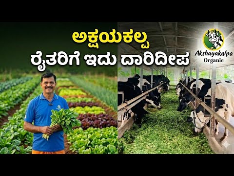 ಅಕ್ಷಯಕಲ್ಪ: ರೈತರ ಪಾಲಿನ ನಿಜವಾದ ದಾರಿದೀಪ! | Akshayakalpa Organic Farming Success Story