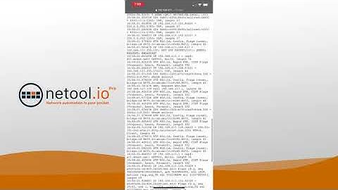 netool.io Pro PCAP decompile demo