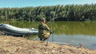 ДА СКОЛЬКО ЖЕ ЕГО ЗДЕСЬ!!!? ПРИШЛА ОНА И....! Рыбалка на донки осенью.