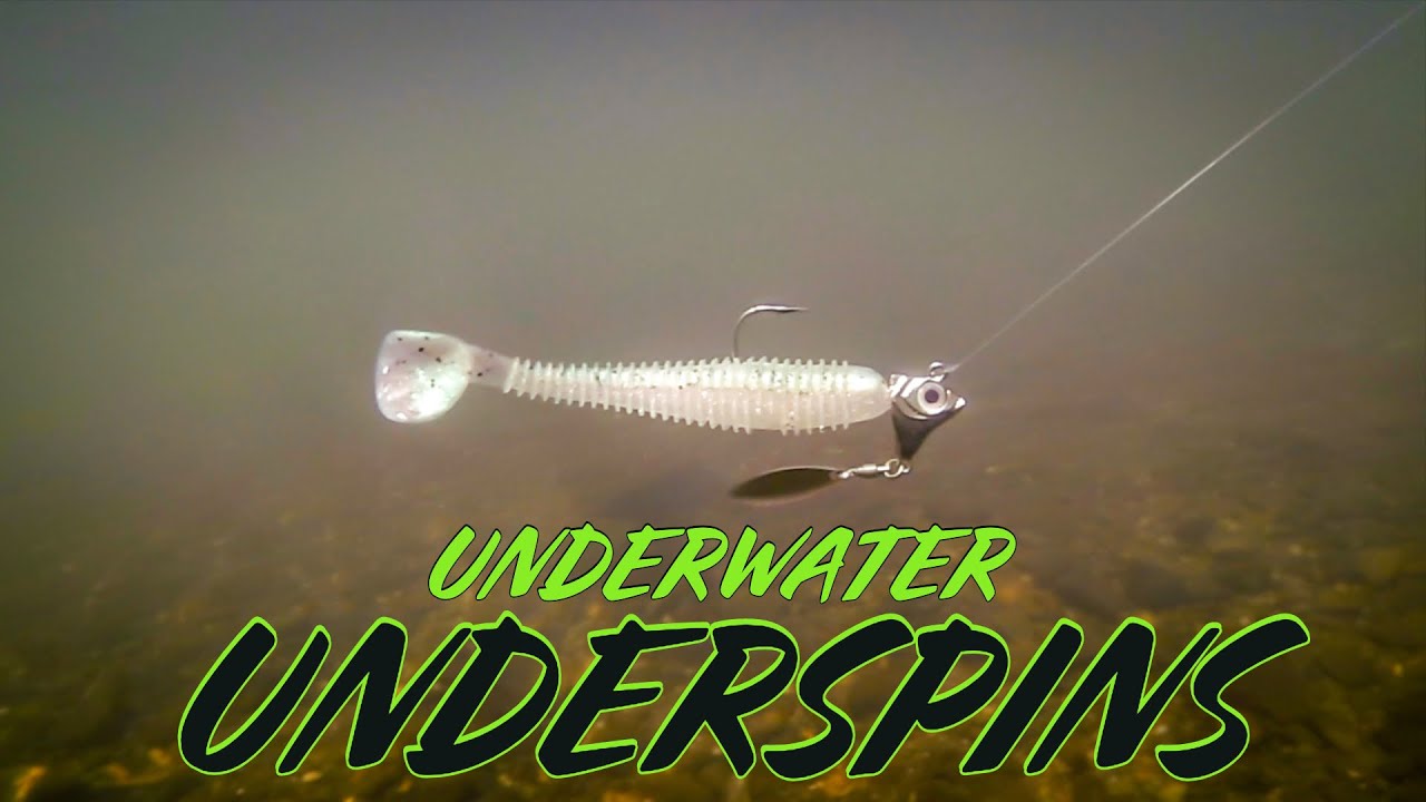 Amazing Underwater Footage of 10 Underspins and Swimbaits!! 