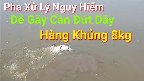 Pha Xử Lý Bạo Lực Muốn Gãy Cần Đứt Dây Câu Cá Chẽm Khủng (Cá Vượt) Fishing seabass
