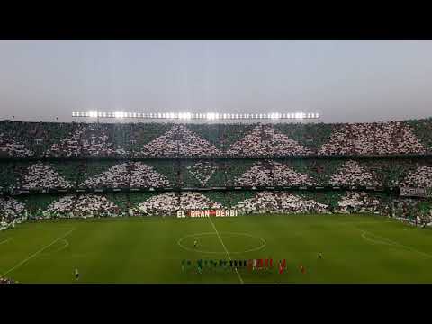 BRUTAL. Real Betis vs Sevilla FC - Himno del Betis cantado por ms de 53.000 almas verdiblancas.