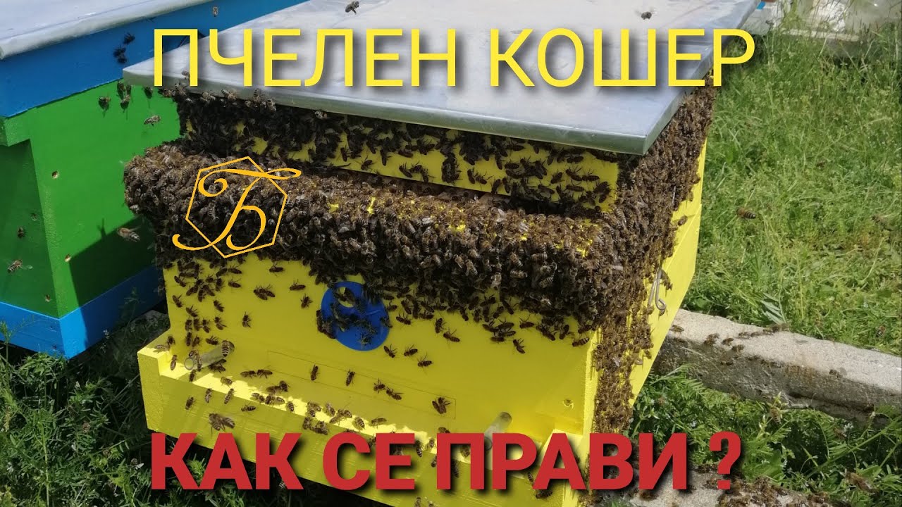ПЧЕЛЕН КОШЕР