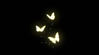 (Free) Drake Type Beat - Miss You