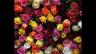 САМЫЙ КРАСИВЫЙ КЛИП 2019 О ЛЮБВИ ❤️ САМЫЙ КРАСИВЫЙ КЛИП 2019 О ЛЮБВИ ❤️