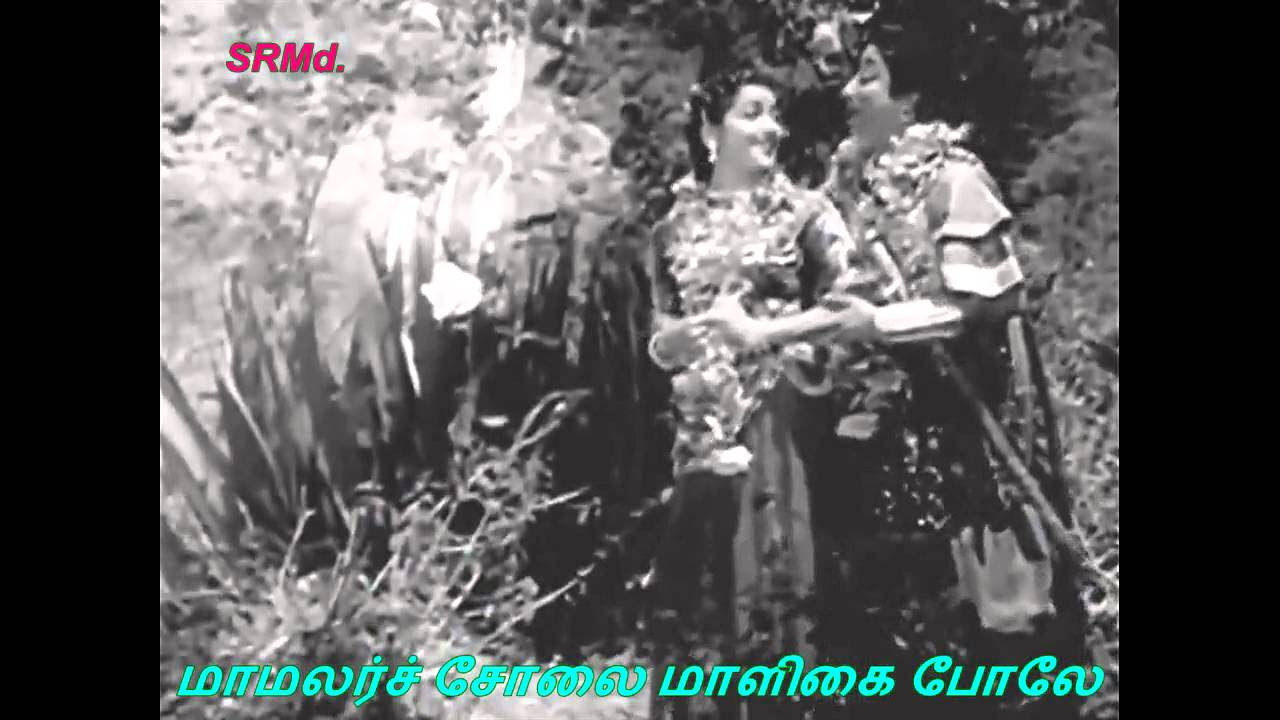 KALYANAM NAM KALYANAM   THANGA MALAI RAGASIYAM 1957   LYRICS