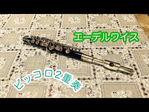 【ピッコロ2重奏】りりかピッコロ2重奏エーデルワイスvlog