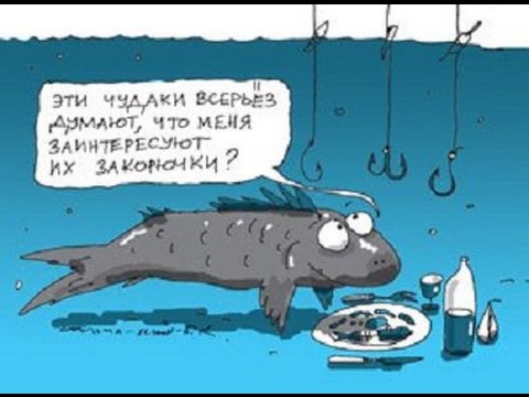 Почему рыба не клюёт шесть причин бесклёвья рыбы