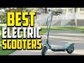 Top 10 Best Electric Scooters 2023 Reviews