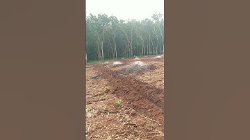 Béc bù áp T800 tưới cho địa hình đồi dốc