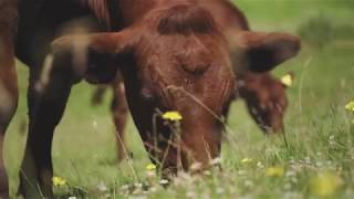 The Farming Community Network