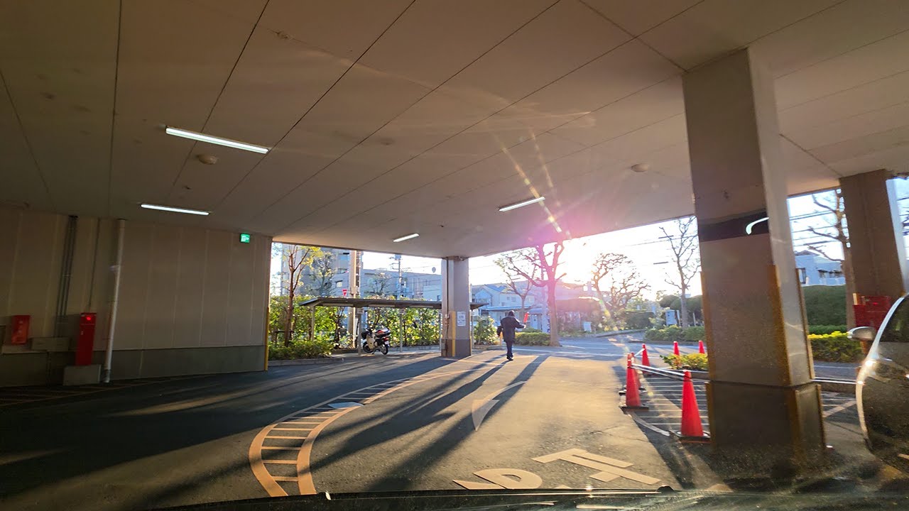 🅿️ライフ本一色店『平面』駐車場出口からどらっぐぱぱす 本一色店付近まで｜東京都・江戸川区・本一色 走行ルート