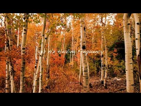 3 Minutes of 432 Hz Healing Piano Music featuring Forests