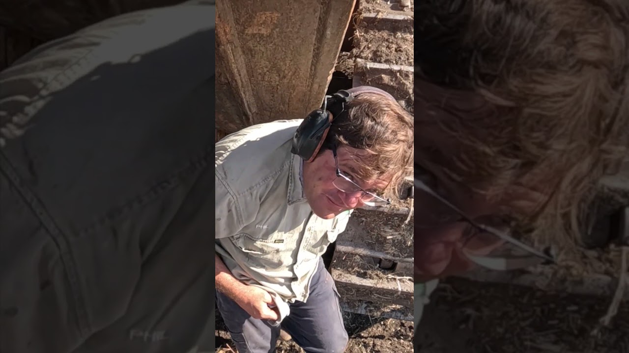 Бульдозер D11 расчищает линию забора 