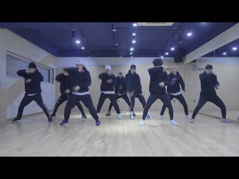 Stray Kids - Grrr [DANCE PRACTICE + MIRRORED + SLOW 100%]