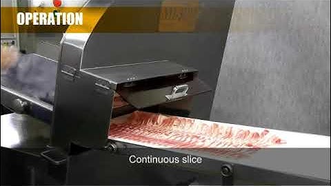 Máy cắt thịt mát NYL 310V2