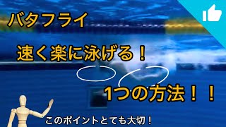 The Secret to Swimming Butterfly Fast and Easy! - YouTube