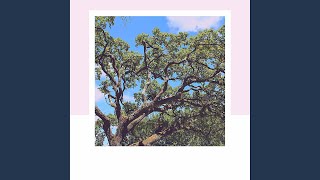 Mellow Moods for Calming Key Notes