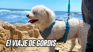 Gordis Se Va De Vacaciones Viaja Con Gordis A Una Nueva Aventura