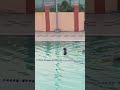 Just Dive In 🤿summer mode on#adityaandmama 🏊♂️🏊♂️