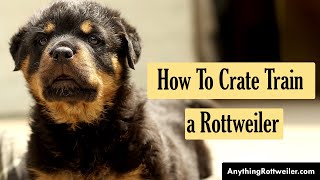 How To Crate Train a Rottweiler