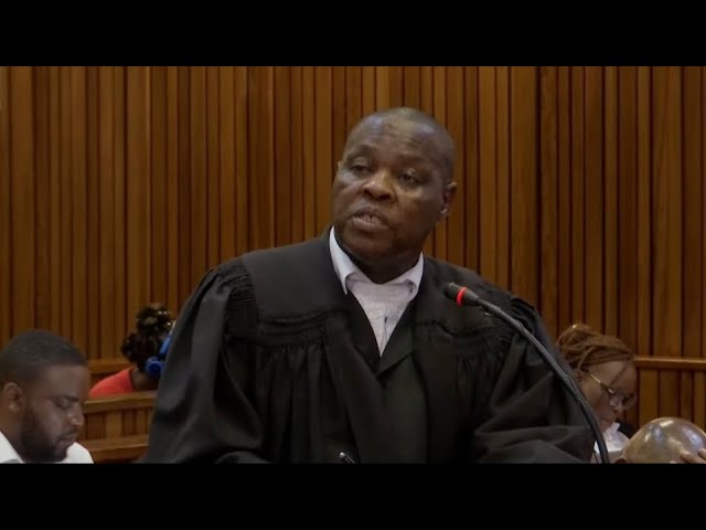 Senzo Meyiwa Murder Trial | Monday 22 January 2024