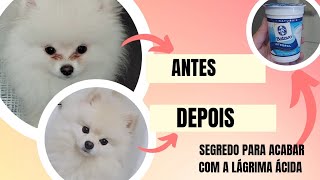 O SEGREDO PARA ACABAR DE VEZ COM A LÁGRIMA ÁCIDA (LULU DA POMERÂNIA) #spitzalemao