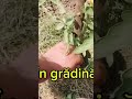 Cum economisim apa? voi cum procedați?