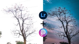 Tree Photo Editing by Village edit Ideas screenshot 5