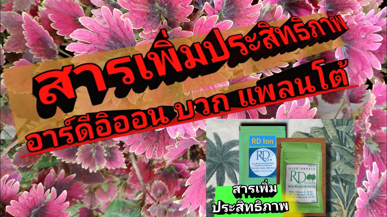 สารเพิ่มประสิทธิภาพพืช