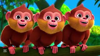 Monkeys counting